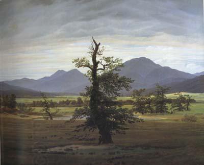 Caspar David Friedrich Landscape with Solitary Tree (mk10) oil painting picture